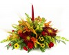 Fall Splendor